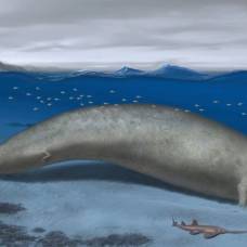 Палеонтологи описали, возможно, самое большое животное в истории