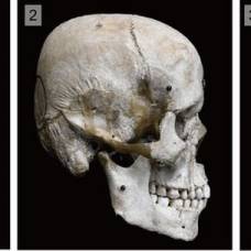 Древний народ хирота намеренно деформировали черепа своих детей