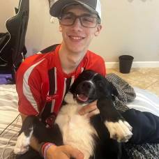 Домашний пес спас подростка – у мальчика случился инсульт