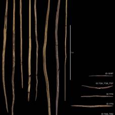 Археологи выяснили, как делали самые древние копья