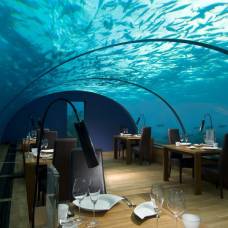 Подводный ресторан ithaa (ithaa undersea restaurant)  на мальдивах