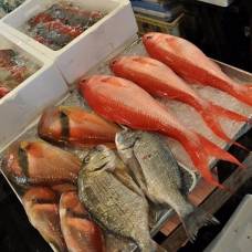 Цукидзи - самый большой в мире рыбный рынок