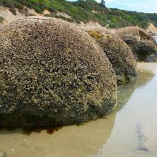Валуны моераки (moeraki  boulders) в новой зеландии