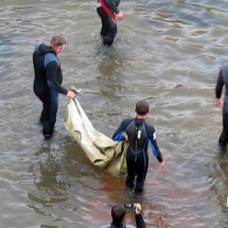 На керченском заводе ''залив'' спасли двух дельфинов