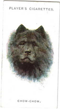 Cigarette Cards: Dogs. From Paintings by Arthur Wardle