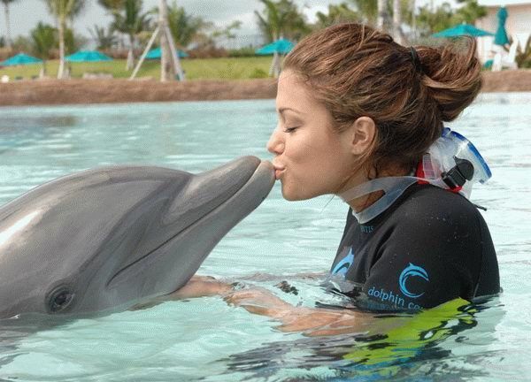 дельфин и девушка