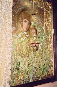 положил к Казанской иконе Божией Матери сухие лилии, и через несколько месяцев они внезапно дали побеги