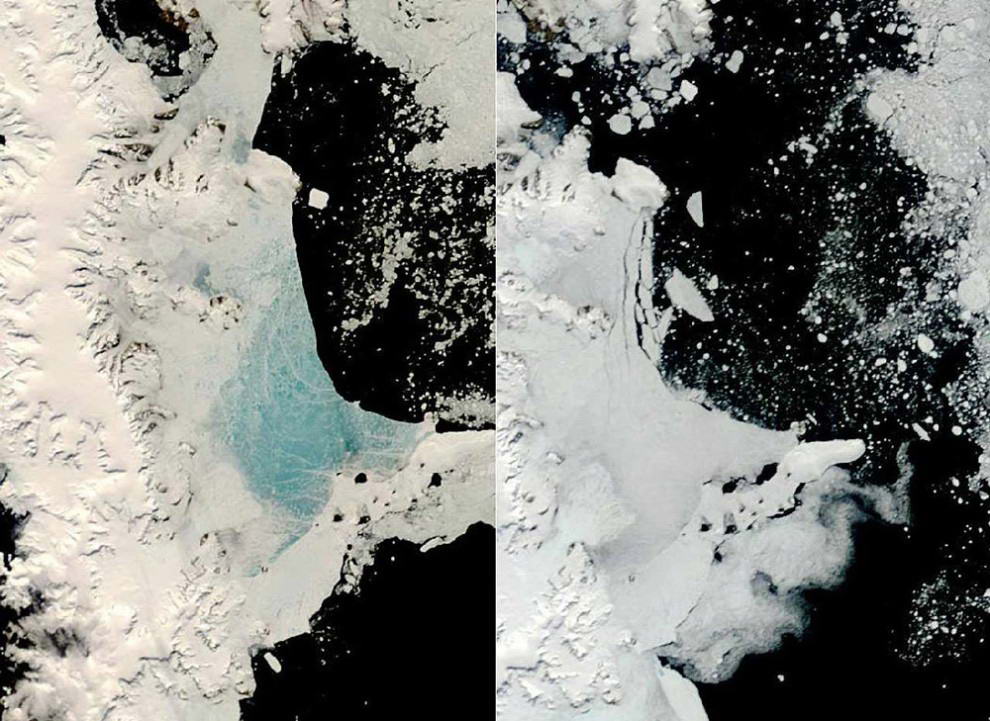 Средняя годовая температура Антарктики поднялась на 1 градус за последние 50 лет – но ее ледники тают намного быстрее, чем ожидалось. Исследование, проведенное в феврале, показало, что районы таяния ледников оказались куда обширнее, чем полагали ученые. Наверху: снимок со спутника показывает льды на Антарктическом полуострове 13 декабря 2008 года слева и 2 января 2009 года справа. (NASA).