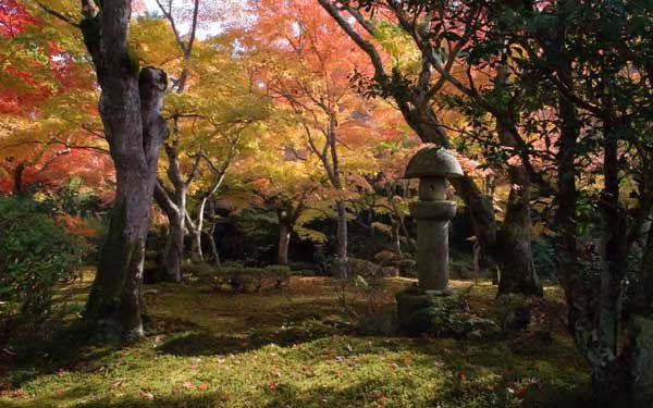 Художественная задача сада - показать природу, не тронутую человеком, способ показа - с помощью понятной посвященным (то есть знающим японскую культуру) символики, которая расширяет смысл виденного - композиционные каноны как бы расширяют сад до границ Вселенной.