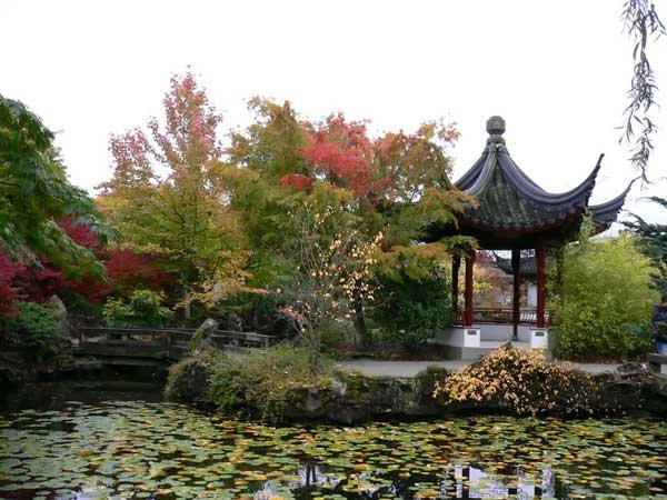  Для японского сада характерно активное использование маршрута, который подобно гиду то заставляет отвлекаться от картин сада, то фиксирует внимание на его особенно интересных местах