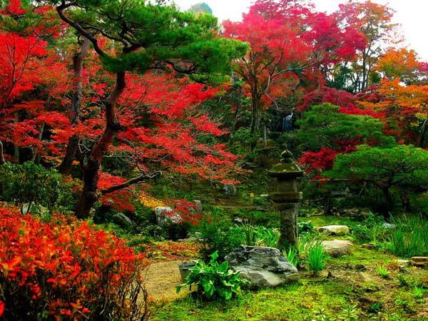 Очень важным моментом создания сада в японском стиле является правильная компоновка камней и растений.