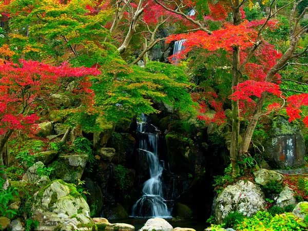 Излюбленный элемент сада - водопад.