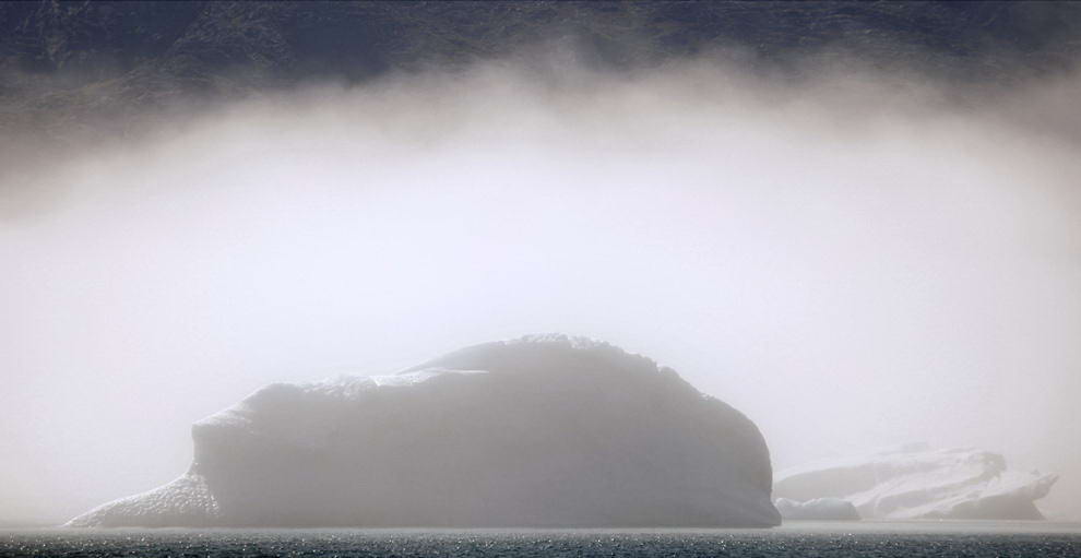 Айсберги скрыты завесой раннего утреннего тумана недалеко от южного гренландского городка Нарсак 28 июля 2009 года. (REUTERS/Bob Strong)