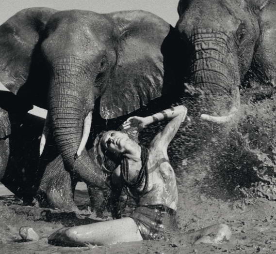 Африканские мотивы со слоном