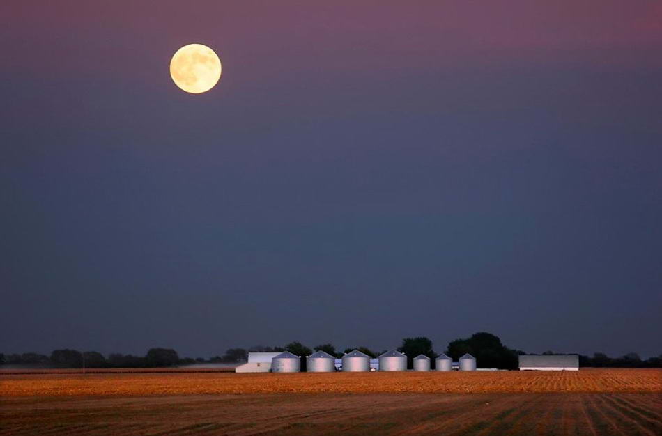 После заката солнца луна встает над недавно убранным кукурузным полем в Плезент Плейнз, штат Иллинойс, на этом снимке, сделанном 6 октября 2006 года. Название полной луны в сентябре относится к североамериканским индейцам, потому что именно в период ее восхождения нужно было собирать кукурузу. Очень часто сентябрьская полная луна также называется луна Урожая. (Seth Perlman, AP)