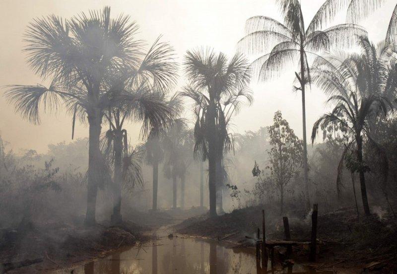 Тропические леса и реки Амазонии в агонии