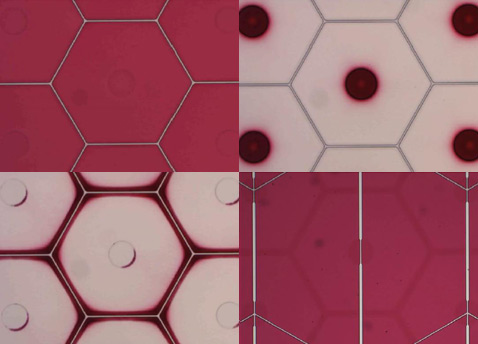 Три состояния электронной кожи с обычными шестиугольными ячейками и вариант с альтернативной раскладкой 