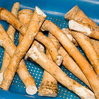 Корни хрена используют при засолке грибов, огурцов, квашении капусты, мариновании свеклы.