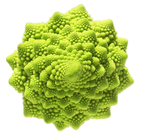 http://animalworld.com.ua/images/2009/July_09/Raznoe/Fibonacci/romanesco-broccoli.jpg