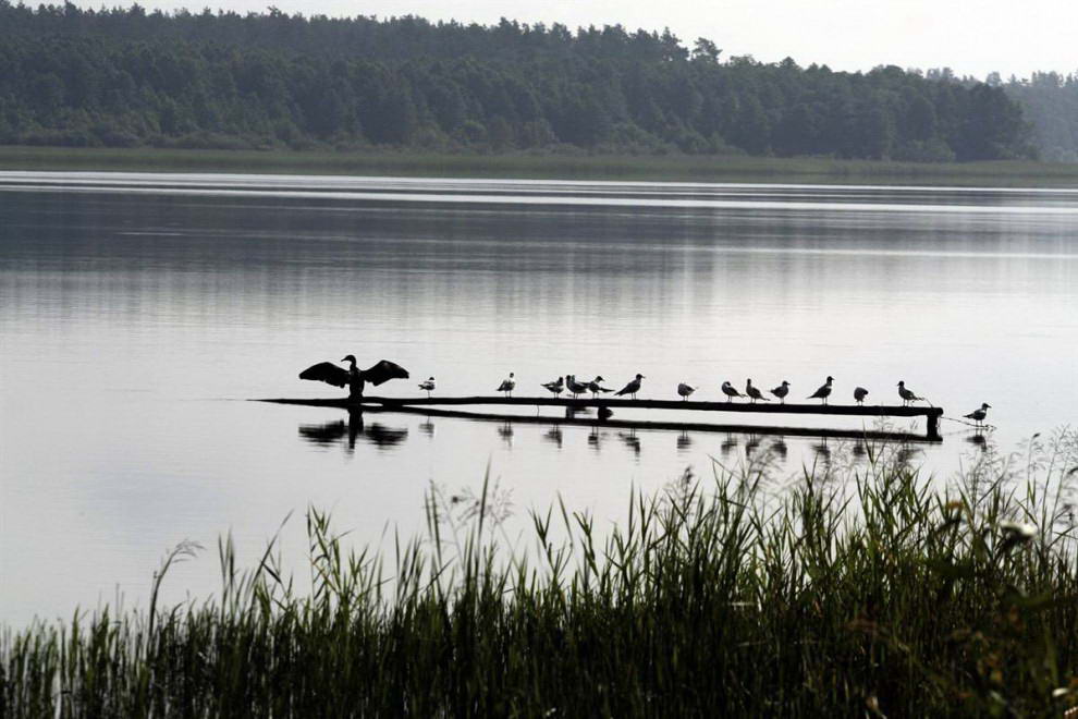 Озерный край Мазуры в Польше включает в себя 2000 озер и охватывает территорию в 32,000 кв.мили. (Artur Reszko / EPA)
