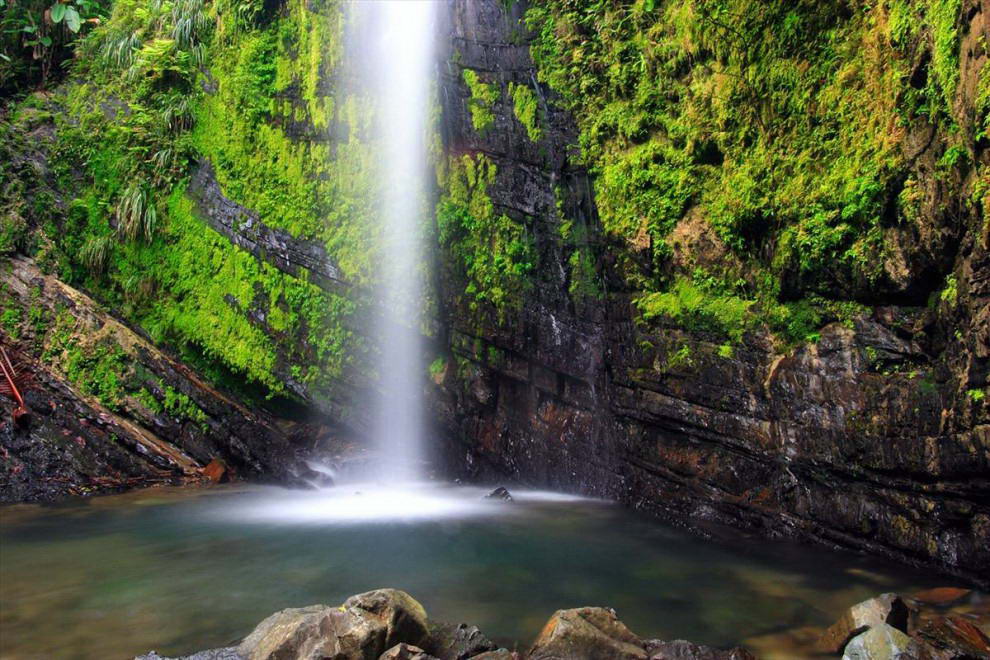 Карибский Национальный Лес, известный также под названием «El Yunque» в Пуэрто-Рико раскинулся на 28,000 акр. Это единственный тропический лес в американской национальной лесной системе. (Featurepics.com)