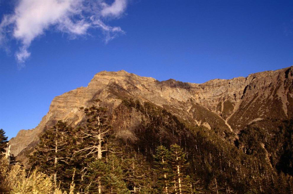 Самая высокая точка Тайваня расположена в Национальном Парке Юйшань. Гора Юйшань, или гора Джейд, возвышается на 13,000 футов на уровне моря. (Martin Moos / Lonely Planet)