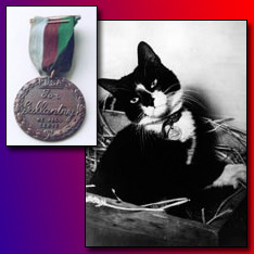 Корабельный кот Саймон с военного шлюпа «Аметист» Королевского флота Великобритании. В 1949 году, после ранения шрапнелью во время инцидента на реке Янцзы, он был награждён медалью Марии Дикин