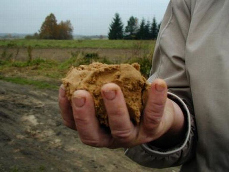 Жительница деревни Гомаляй Тельшяйского района Станислава Монствилене питается песком.