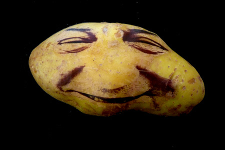 Гину Шуейри (Ginou Choueiri) рисунки на картофеле