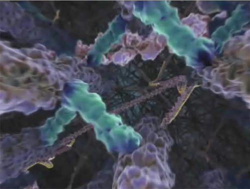 The Inner Life of a Cell, Внутренняя жизнь клетки