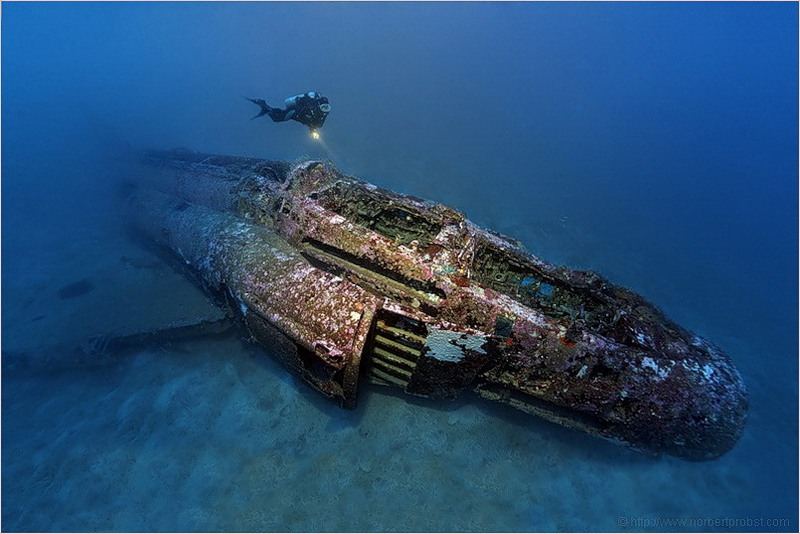 Норберт Пробст - мир подводного царстава
