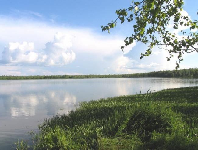 Шайтан-озеро неподалеку от деревни Окунево Омской области