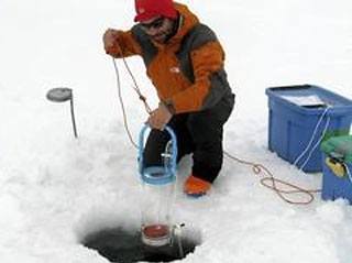 На антарктическом острове есть уникальное озеро Limnopolar. Там живет рекордное для водоемов Земли количество вирусов.