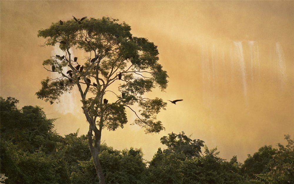 Водопады Игуасу (Iguassu Falls)