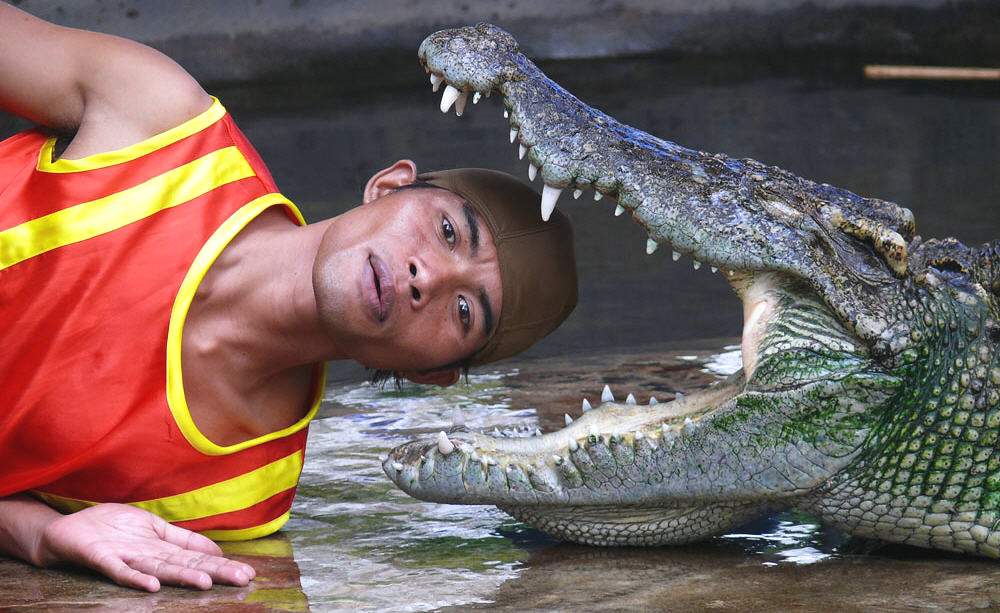 Тайский аттракцион с крокодилами - ака 
