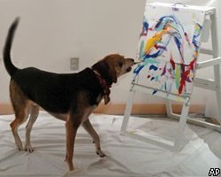 Собака бландхаунд Сэм обожает рисовать.