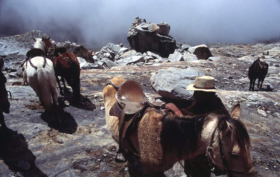 От места, где стоят эти лошади у края ледника Ритакуба и до вершины еще 4,26 километров.