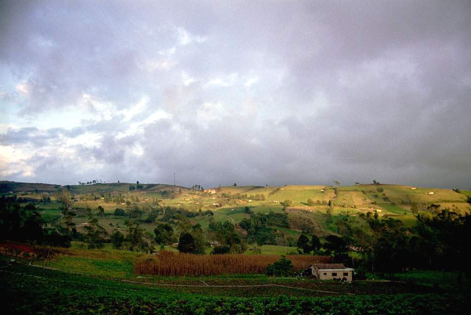 К северу от Боготы, по дороге к Cocuy, находится регион Boyacá с богатыми сельскохозяйственными угодьями.