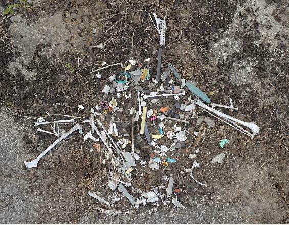 Очень сильно страдают от пластикового мусора альбатросы.