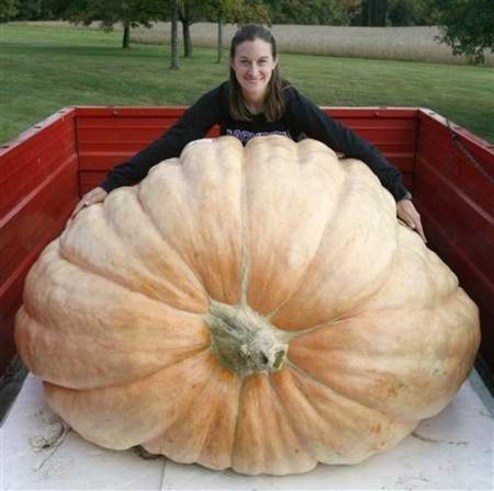 Учительница математики из Огайо Кристи Харп (Christy Harp) вырастила самую большую тыкву в мире весом в 782 килограмма. 
