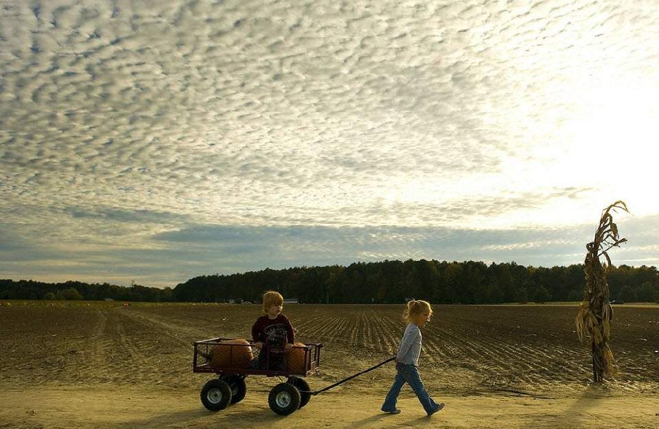 Девочка везет своего брата и несколько тыкв на тележке после посещения тыквенной фермы 22 октября в Истоне, штат Мэриленд. (Jim Watson, AFP / Getty Images)
