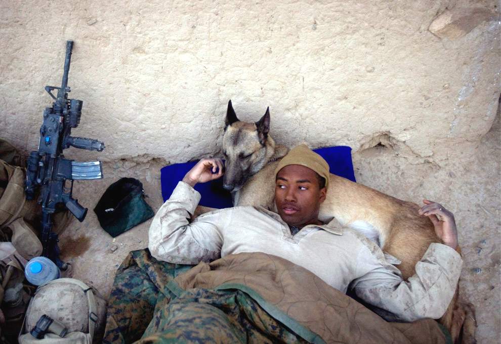 Собаковожатый армии США