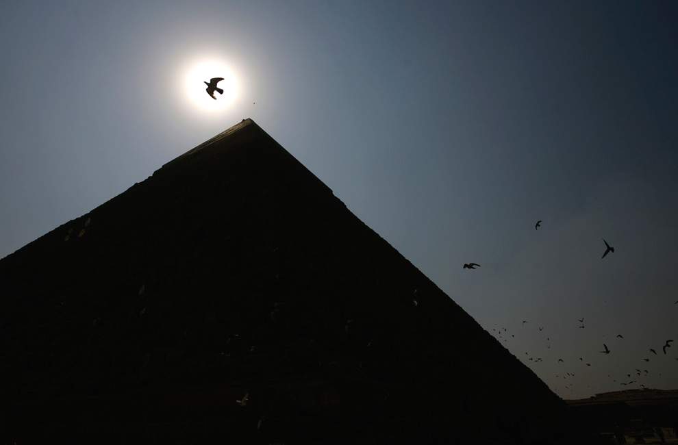 Птица пролетает над Великой Пирамидой в Гизе