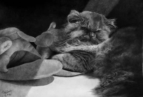 Рисунок кошки в карандаше. Пол Лунг.