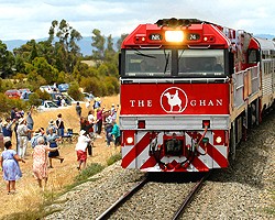 Австралия: Корова сбила туристический поезд «Ган»