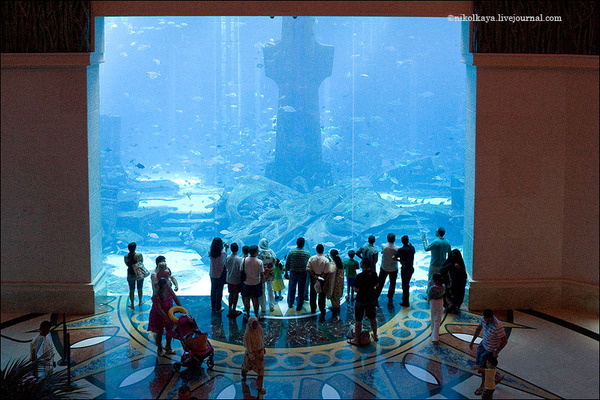 Заповедник посвящен подводном миру Персидского залива, и гости могут наблюдать за его обитателями через многочисленные витрины в холле отеля.
