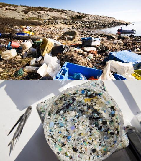 Количество мусора, плавающего в океанах Земли, поддаётся только  лишь примерной оценке. Что-то смытое некогда в воду волны выносят  обратно на берег, что-то перемалывают вот в такой пластиковый суп,  губящий морскую фауну (фото Whim Architecture, Peter Bennett).