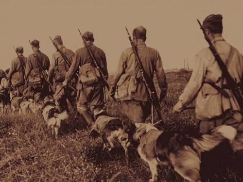 тория применения собаки в военном деле