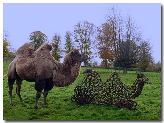Необычные скульптуры животных из подков от Tom Hill