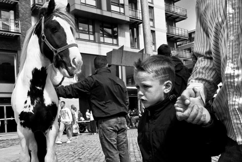 Лошади на улицах Дублина